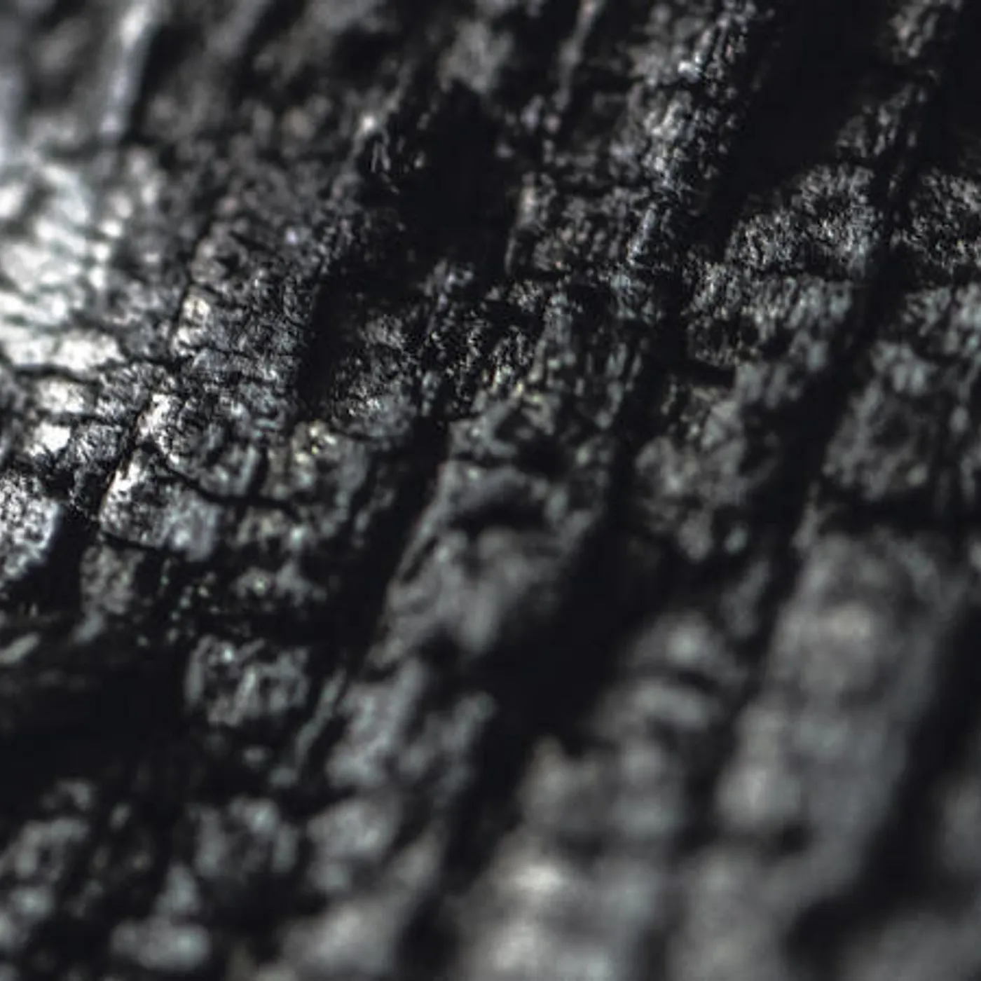 Parallel Worlds PLECTOR CD