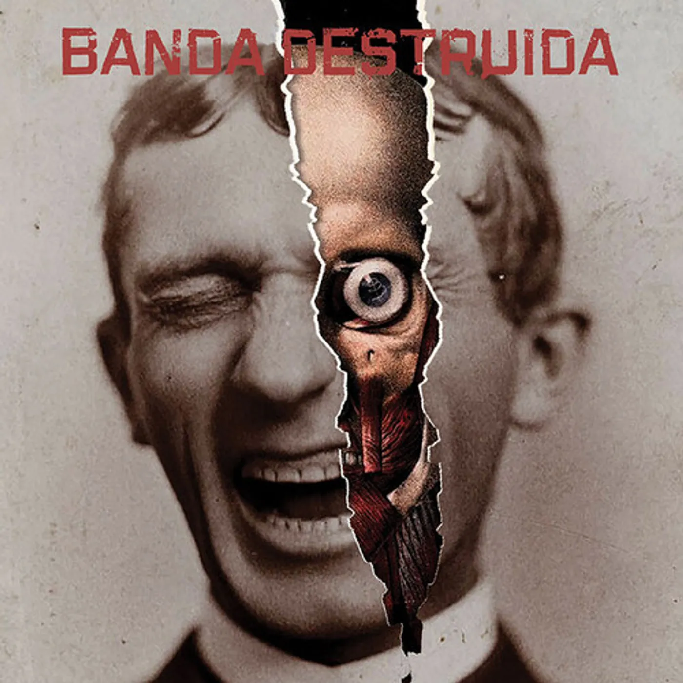 Banda Destruida Vinyl Record