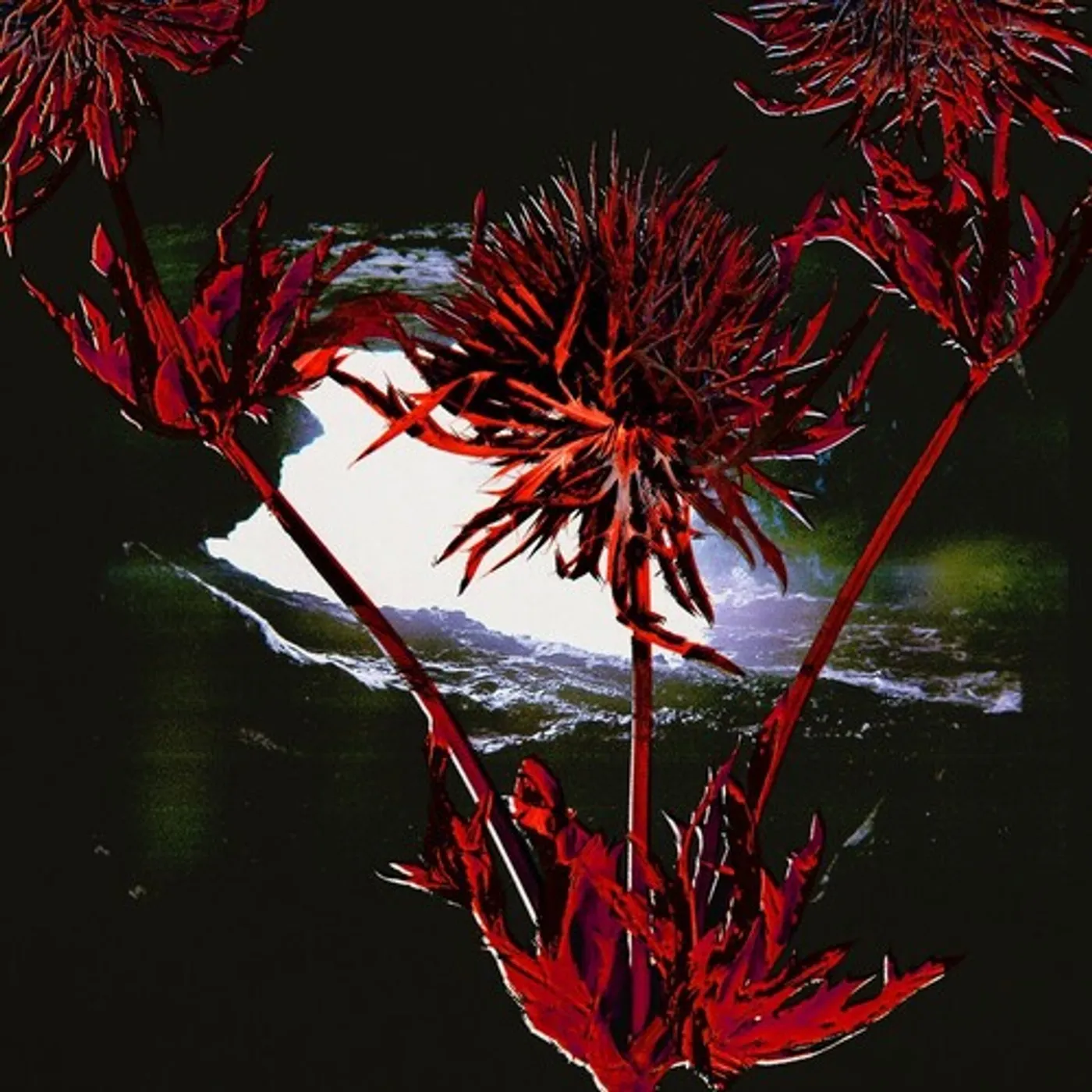 Mausoleo Refugio Transitorio Vinyl Record