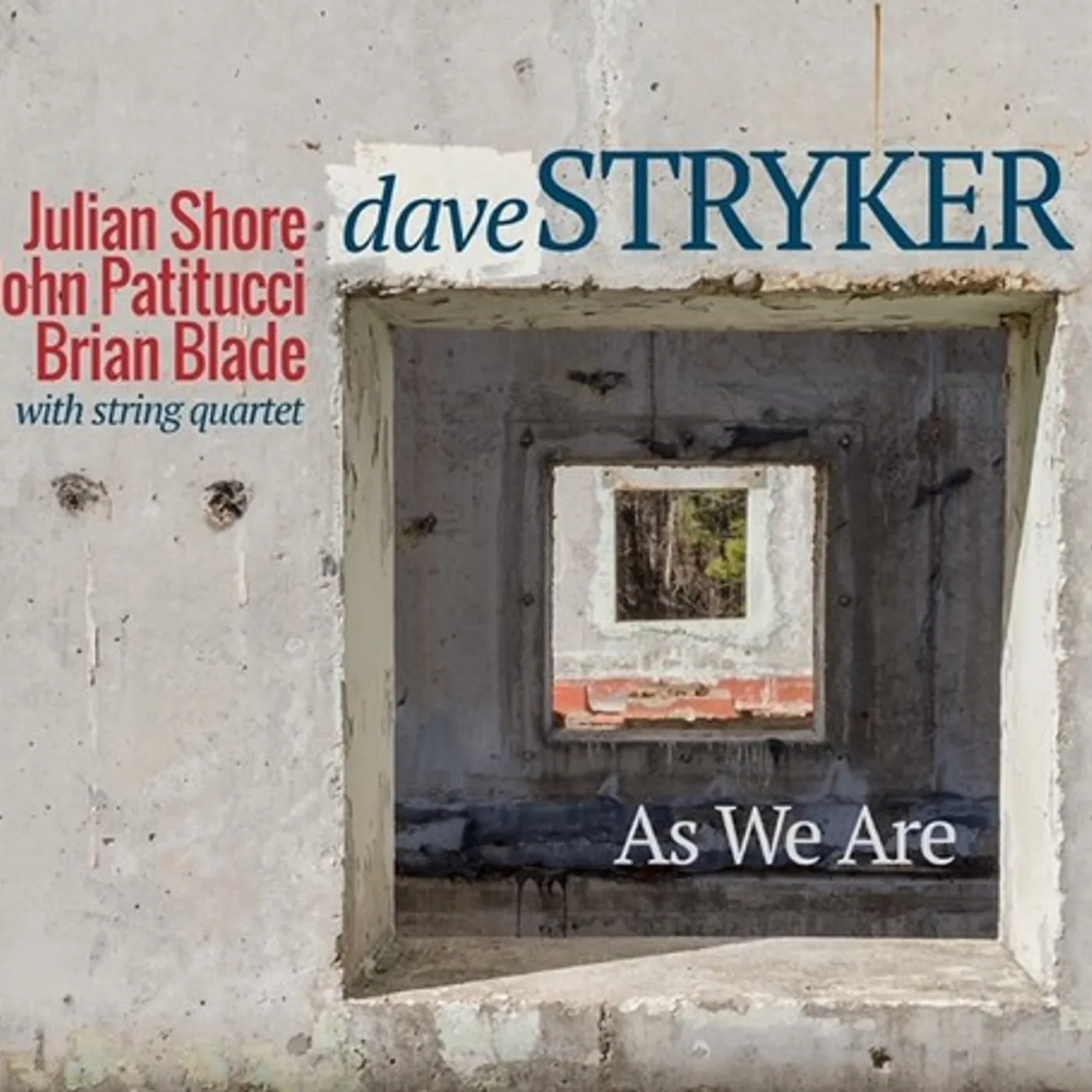 Dave Stryker As We Are Vinyl Record