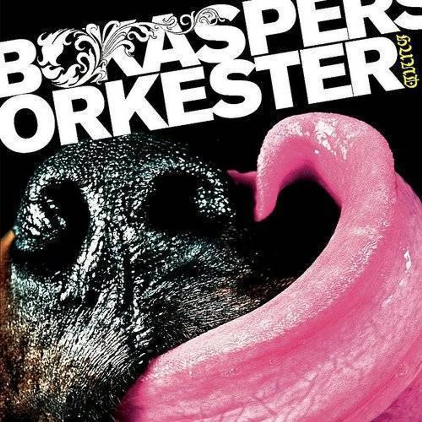 Bo Kaspers Orkester Hund Vinyl Record