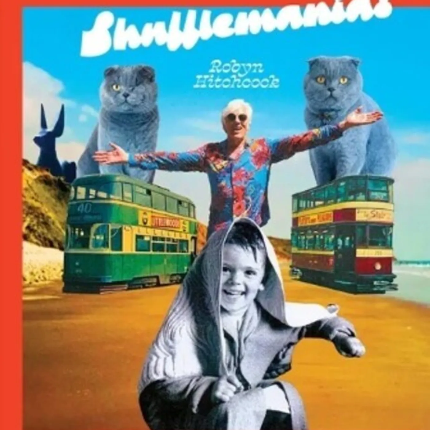 Robyn Hitchcock Shufflemania Vinyl Record