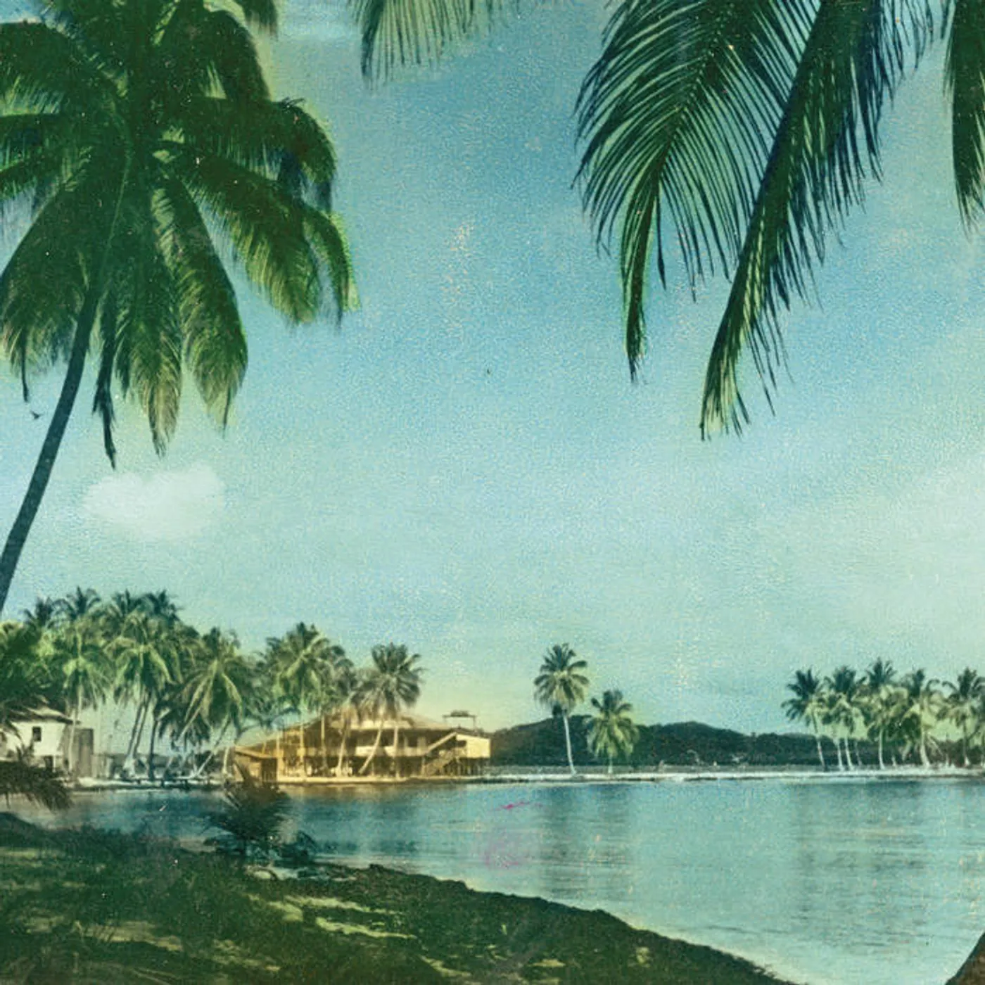 Celer MALARIA Vinyl Record