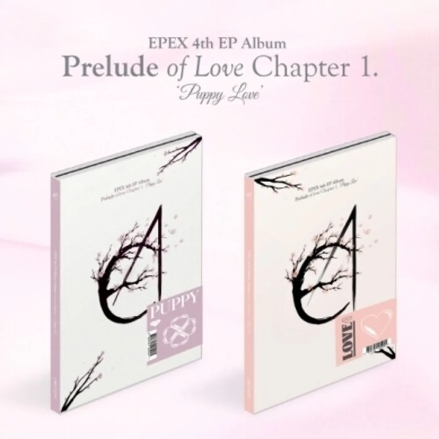 EPEX PRELUDE OF LOVE CHAPTER 1. PUPPY LOVE (RANDOM CVR) CD