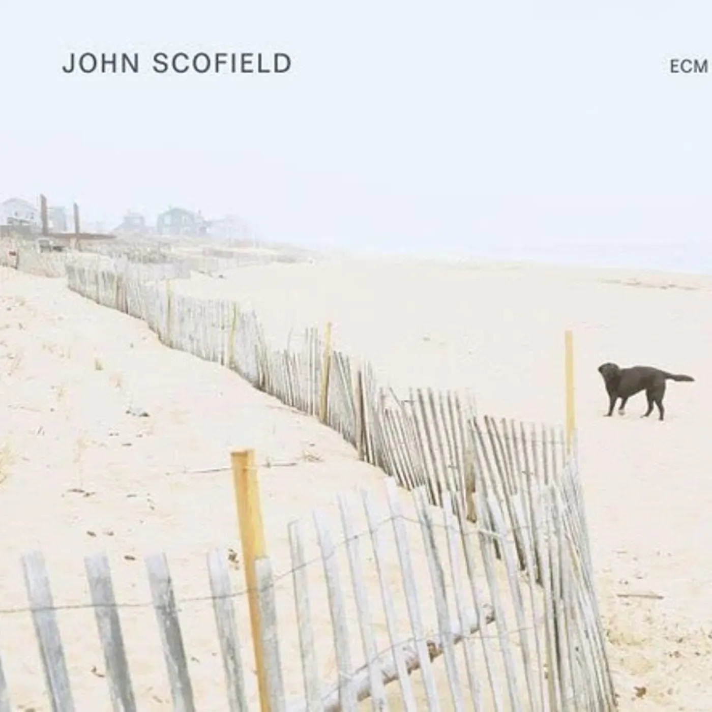 John Scofield Vinyl Record