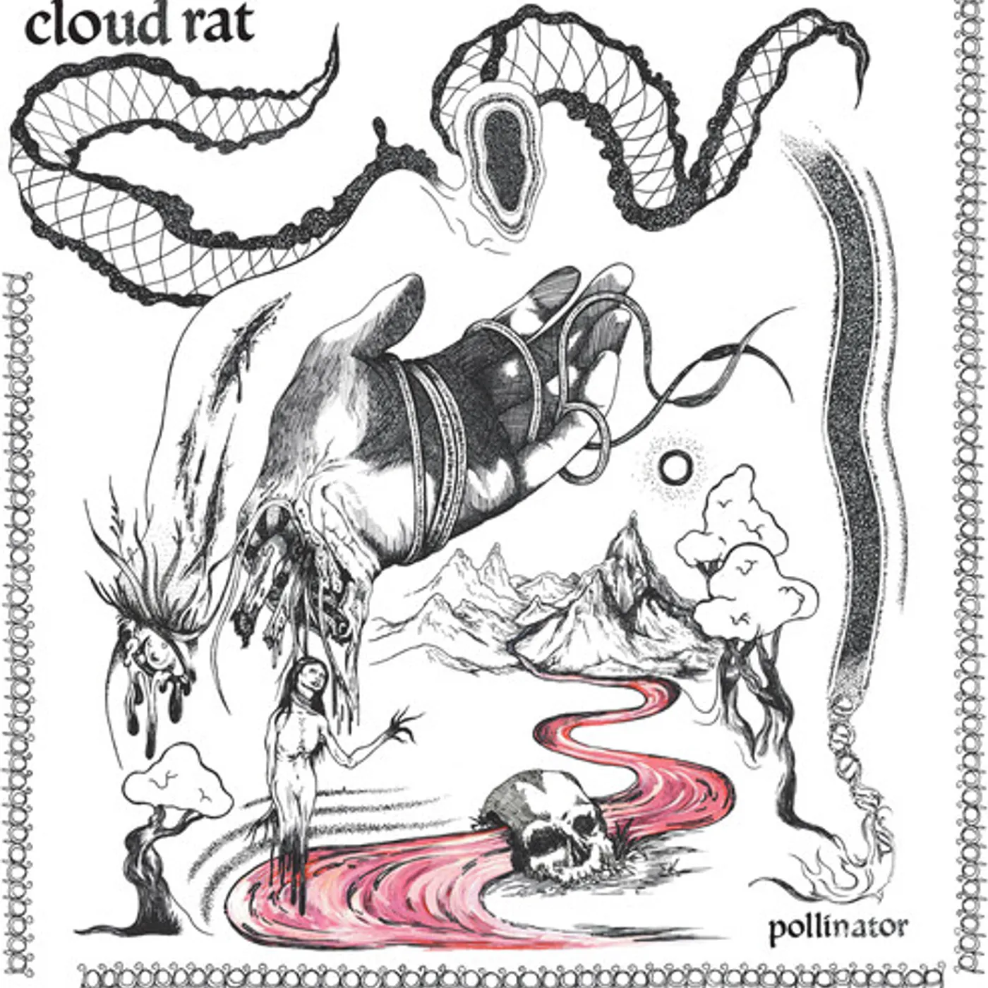 Cloud Rat Pollinator Vinyl Record