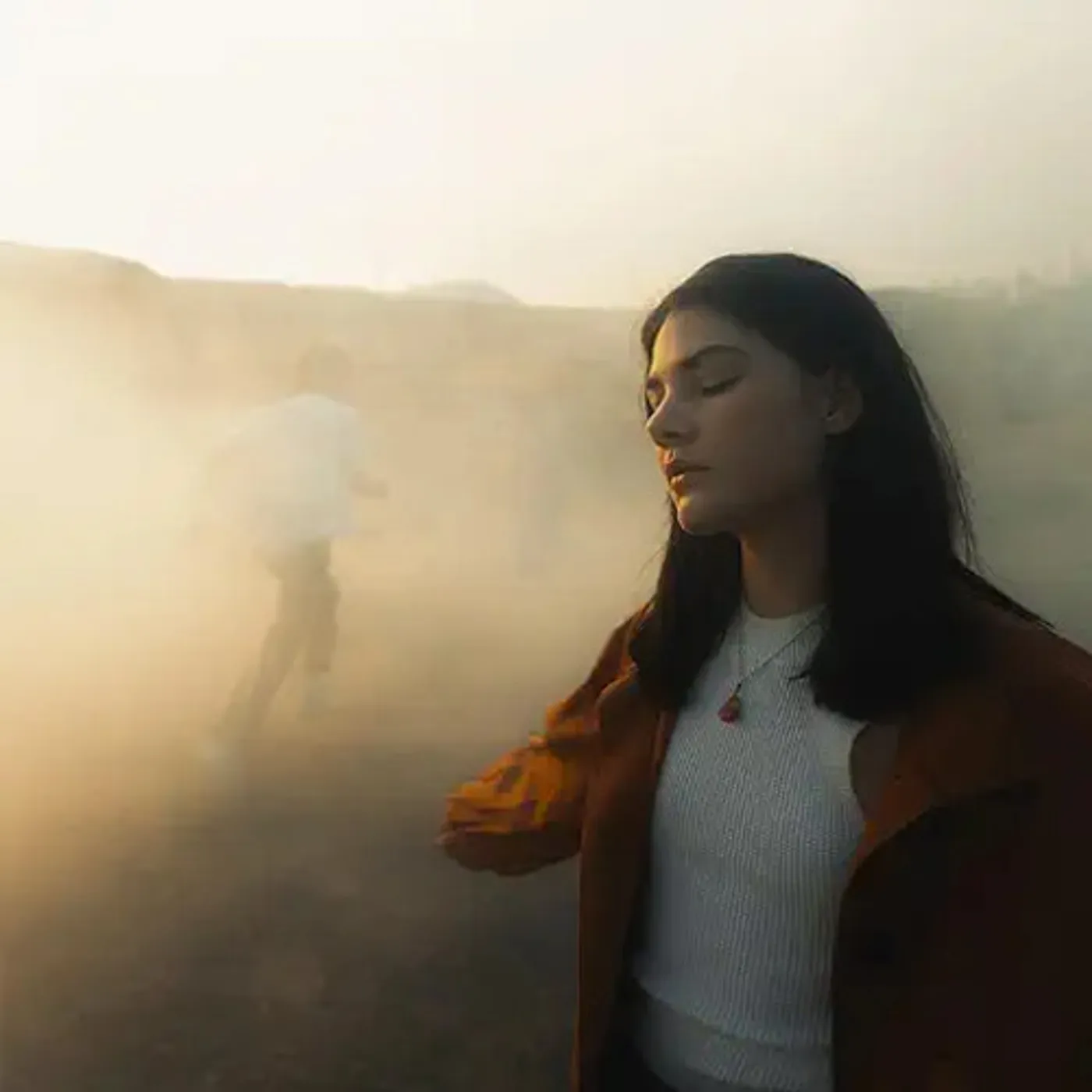 Sunsleeper WHILE YOU CAN Vinyl Record