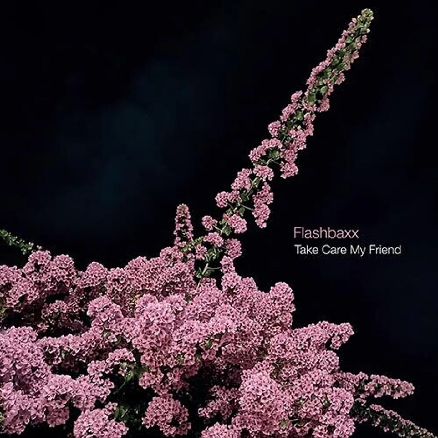 Flashbaxx Take Care My Friend Vinyl Record