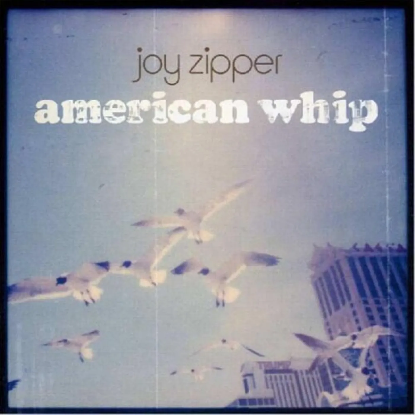 Joy Zipper American Whip Vinyl Record