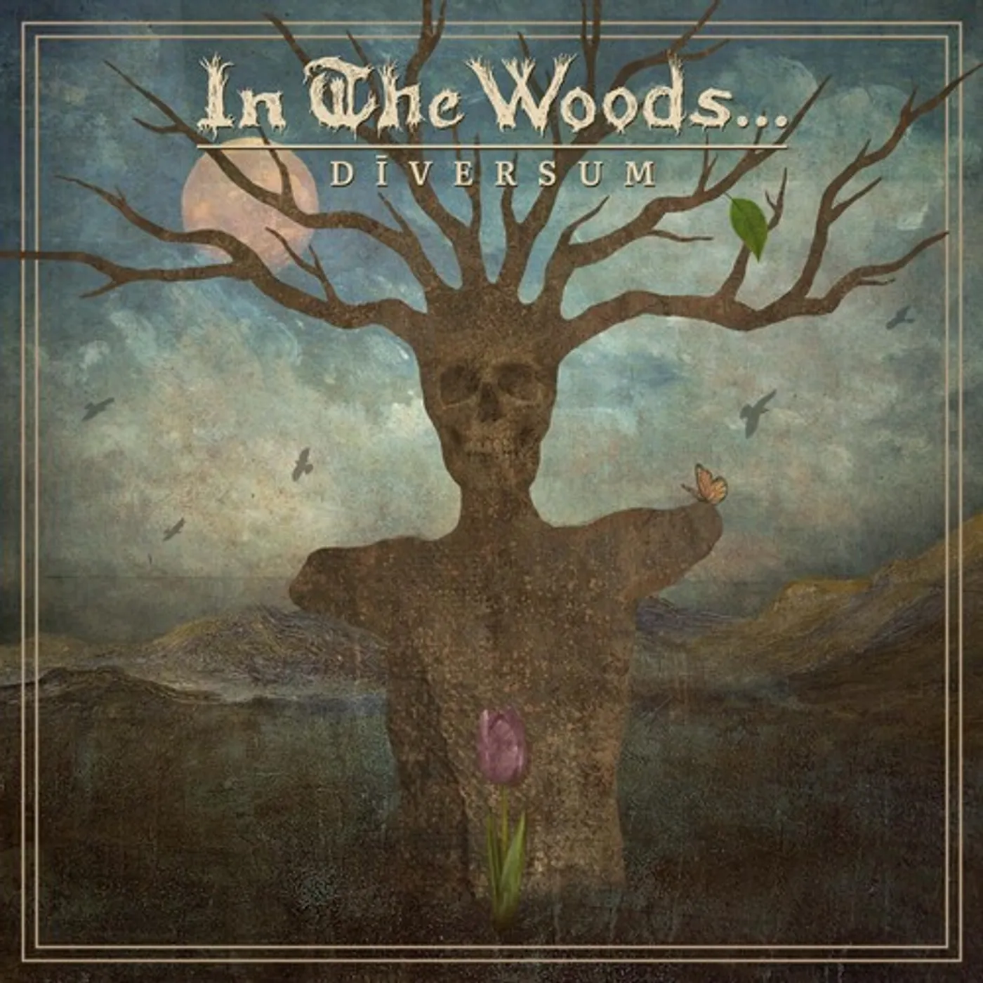 In The Woods... DIVERSUM CD