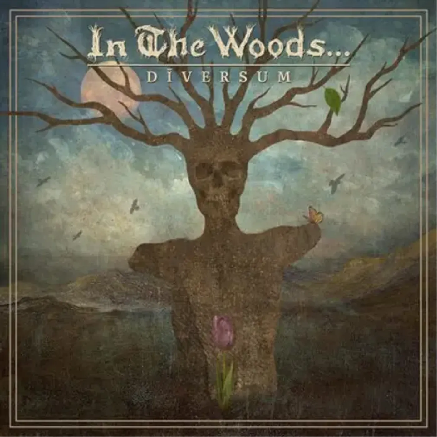 In The Woods... DIVERSUM Vinyl Record