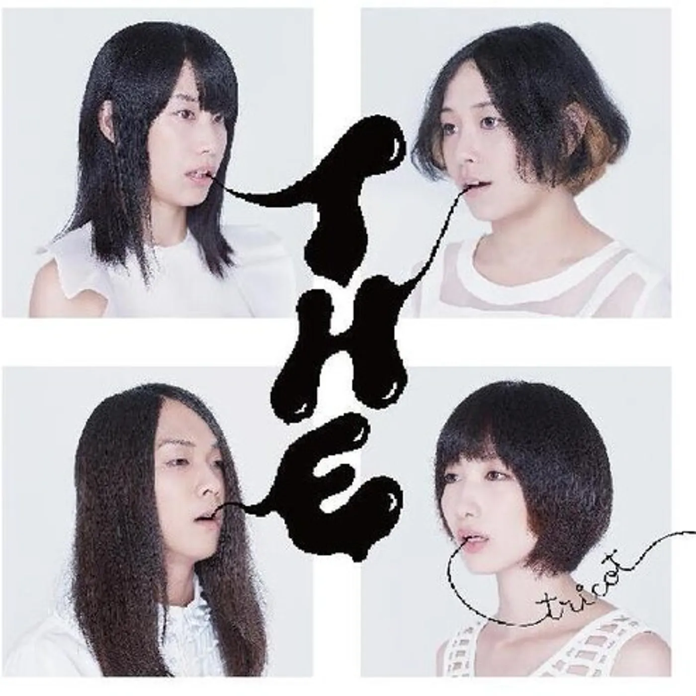 tricot T H E Vinyl Record