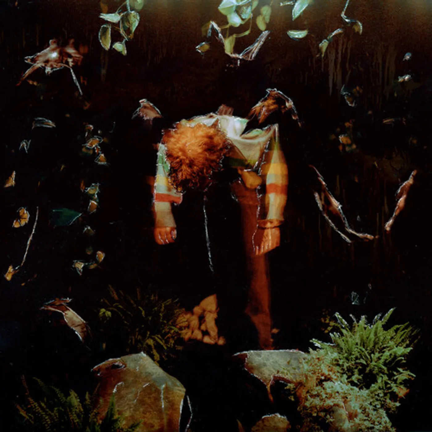 Cavetown WORM FOOD CD