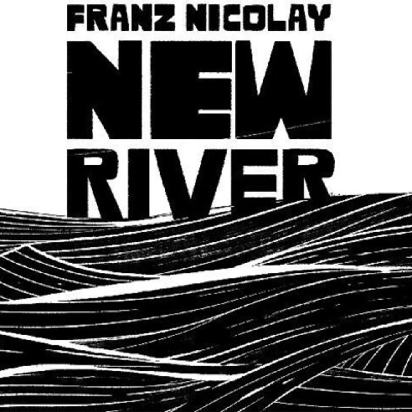 Franz Nicolay New River Vinyl Record