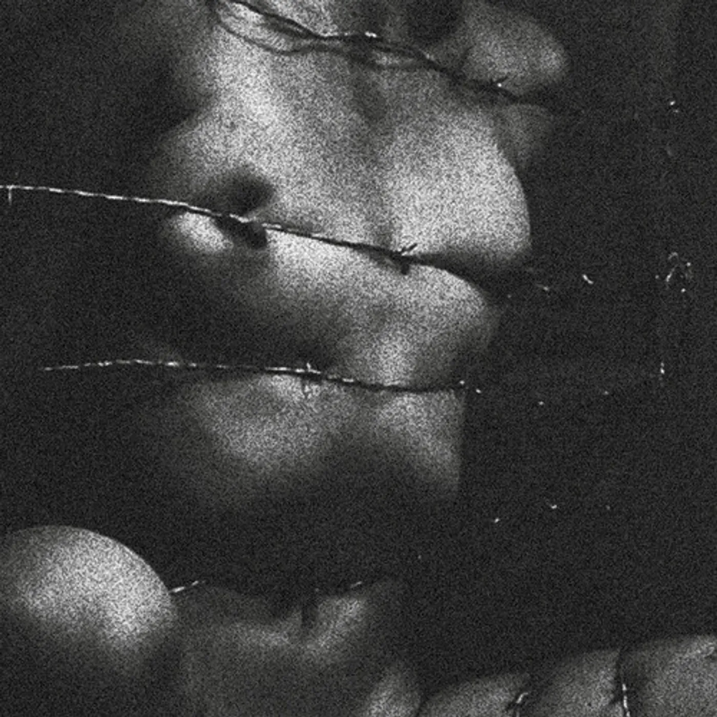 Clavicvla DEGENERACY OF THE 5TH DENSITY CD