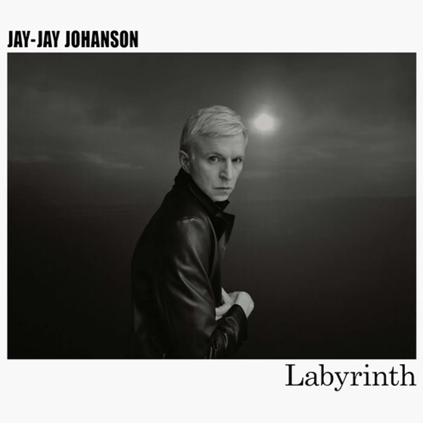 Jay-Jay Johanson Labyrinth Vinyl Record