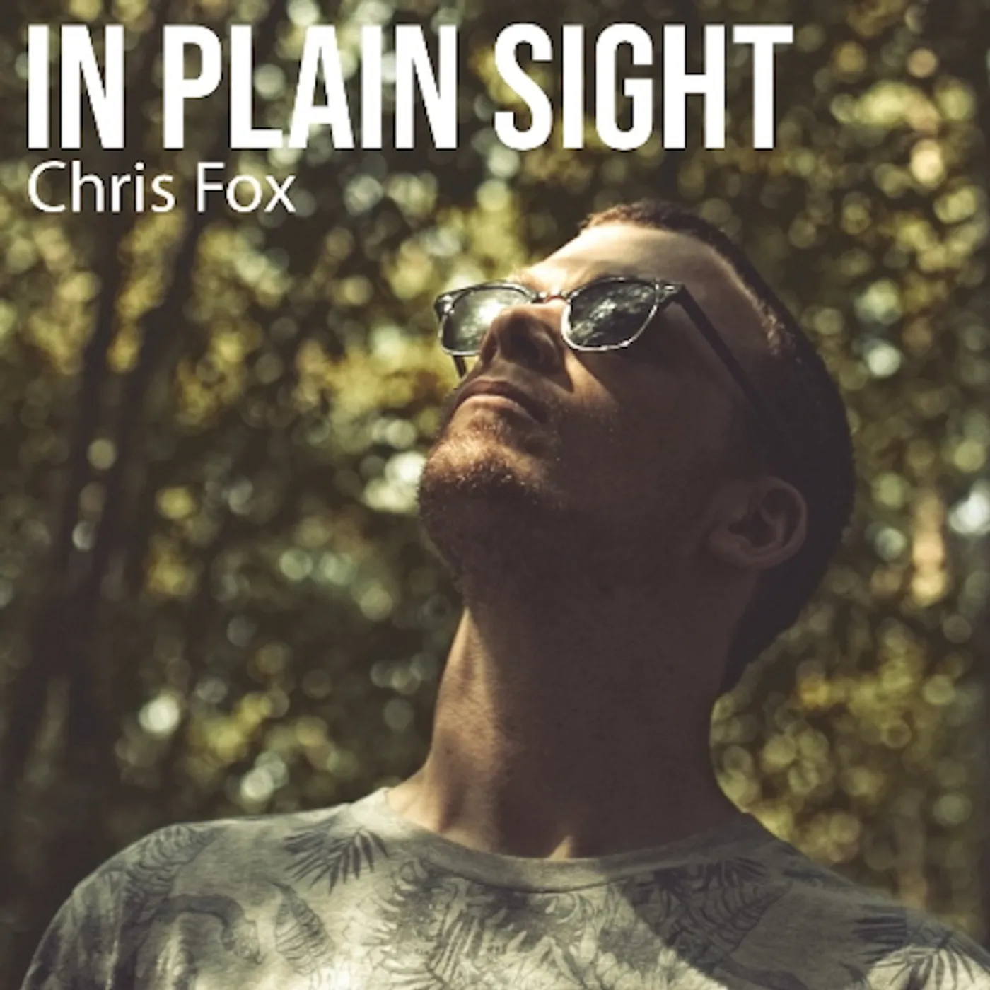 Chris Fox In Plain Sight CD