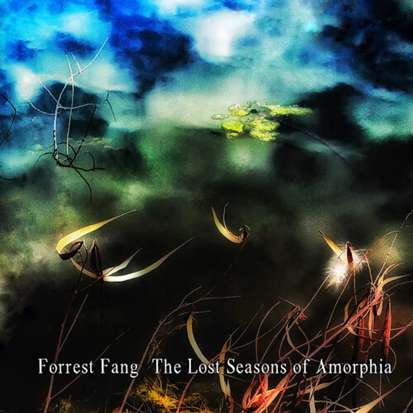 Forrest Fang LOST SEASONS OF AMORPHIA CD