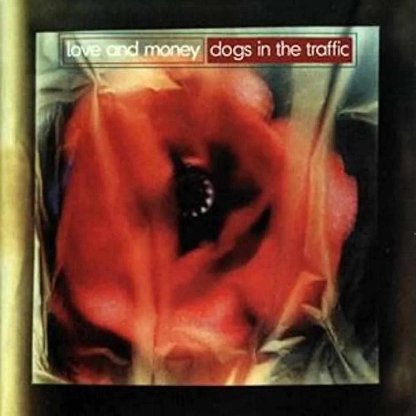 Love & Money DOGS IN THE TRAFFIC: 30TH ANNIVERSARY Vinyl Record