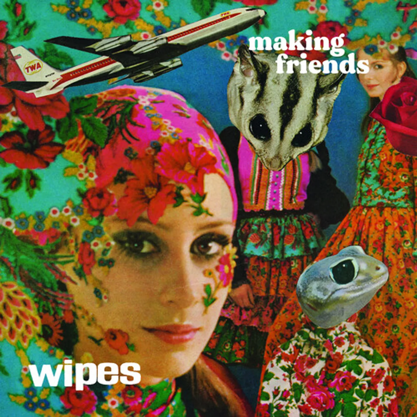 $wipes Making Friends Vinyl Record