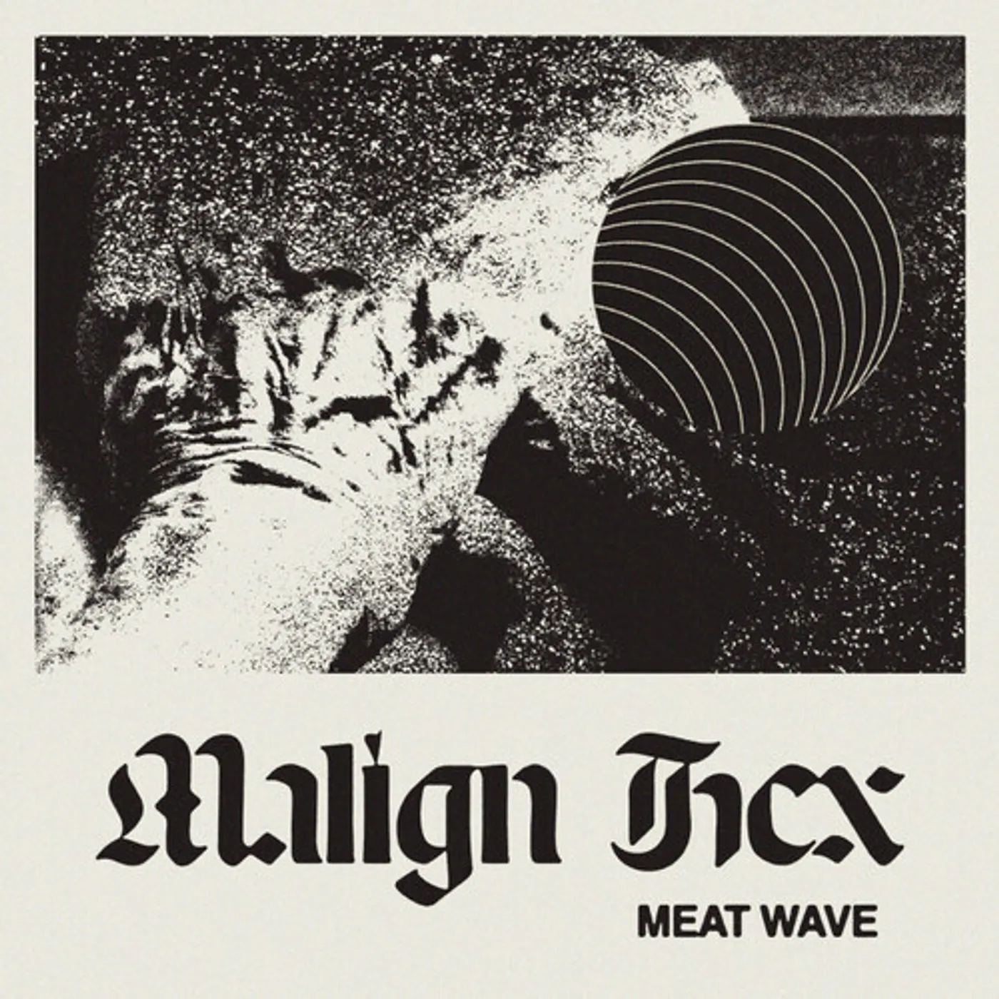 Meat Wave Malign Hex Vinyl Record