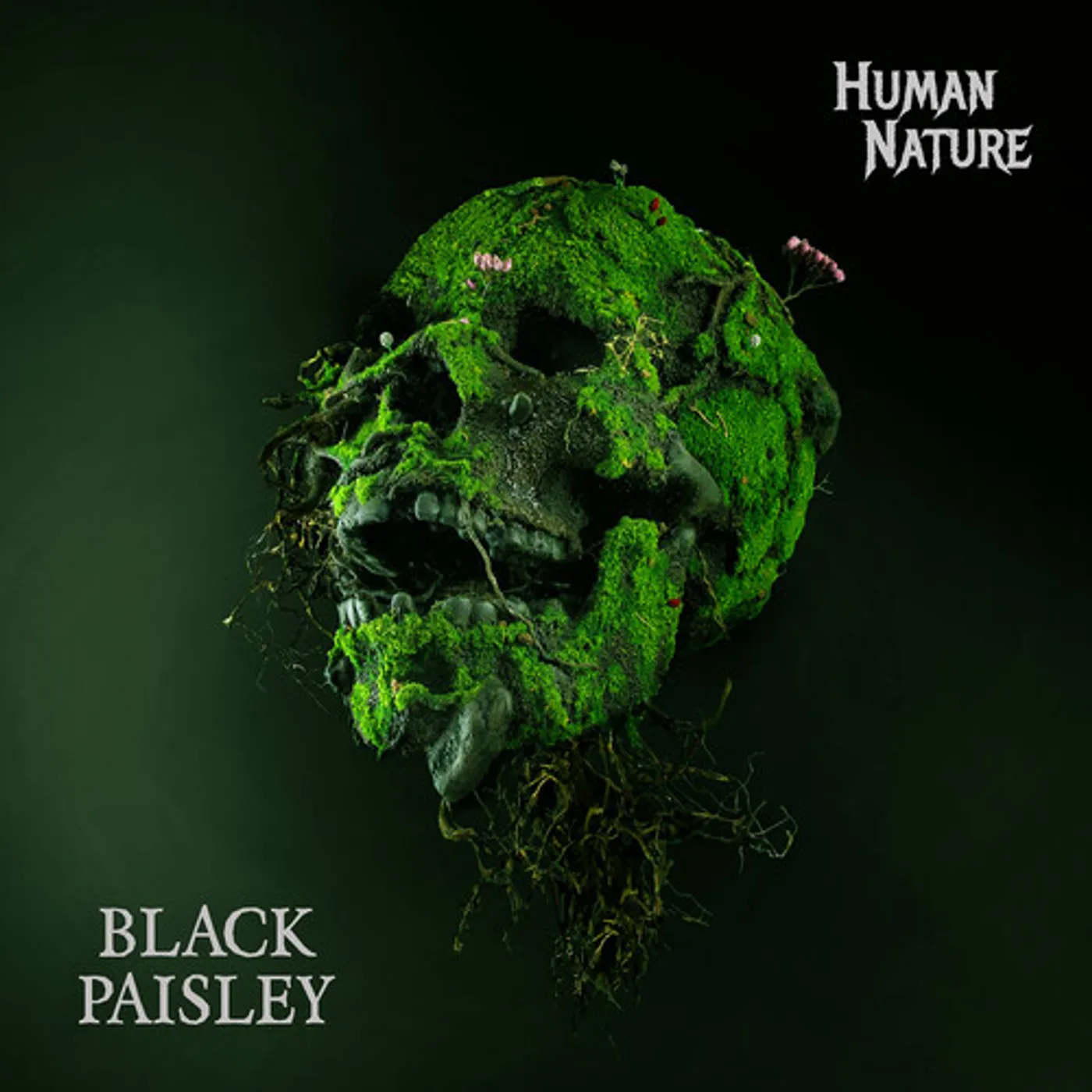 Black Paisley HUMAN NATURE CD