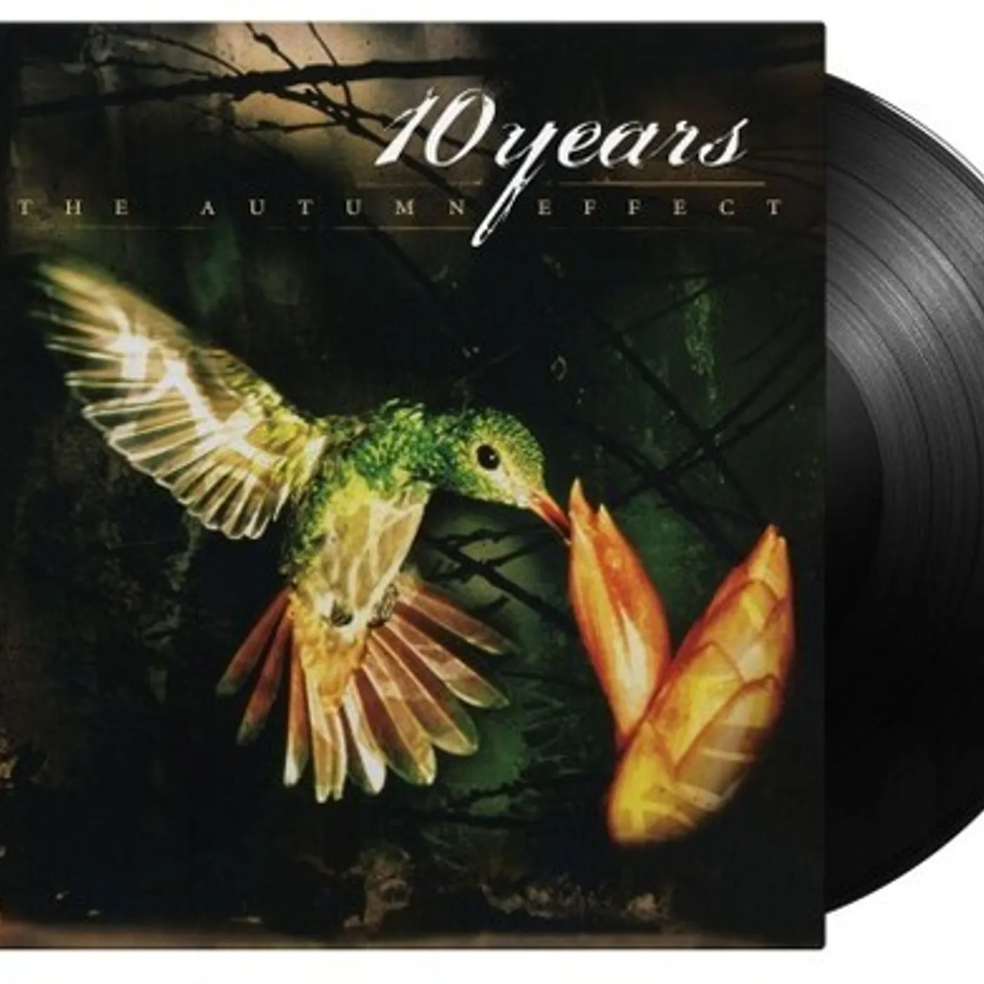10 Years Autumn Effect Vinyl Record