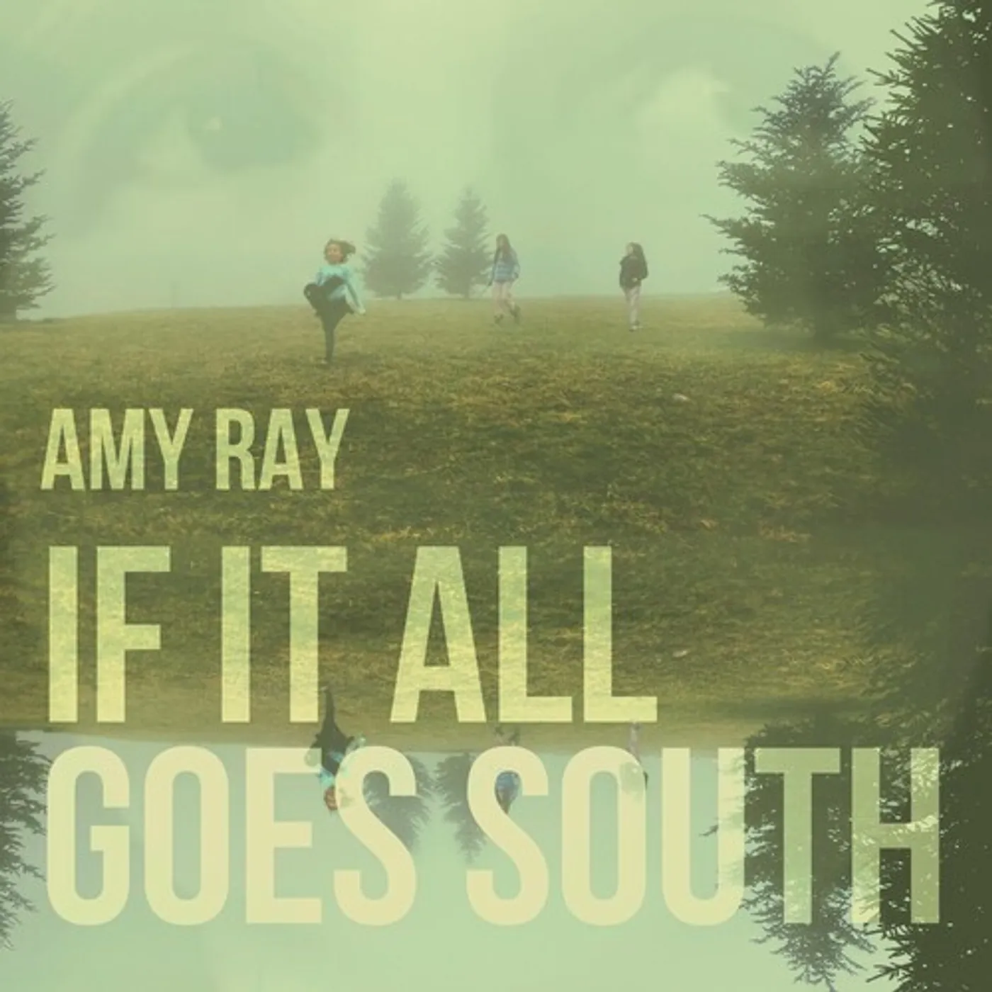 Amy Ray IF IT ALL GOES SOUTH CD