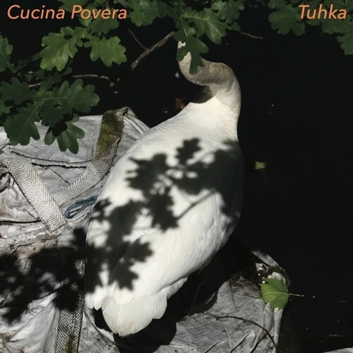 Cucina Povera Tuhka Vinyl Record