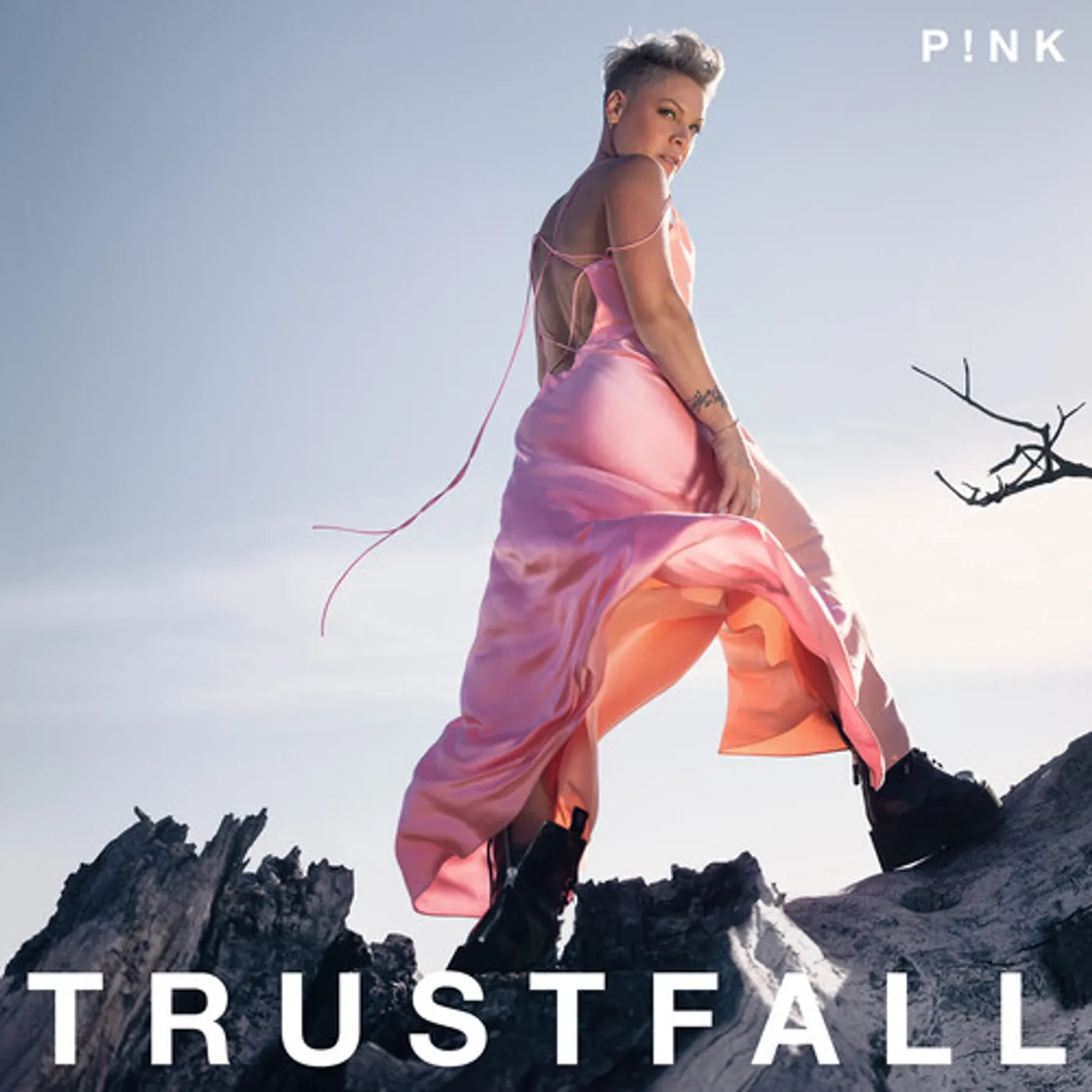 P!nk TRUSTFALL CD