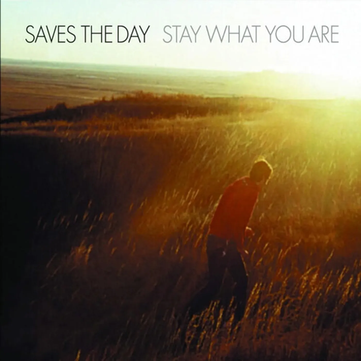 Saves The Day Stay What You Are Vinyl Record