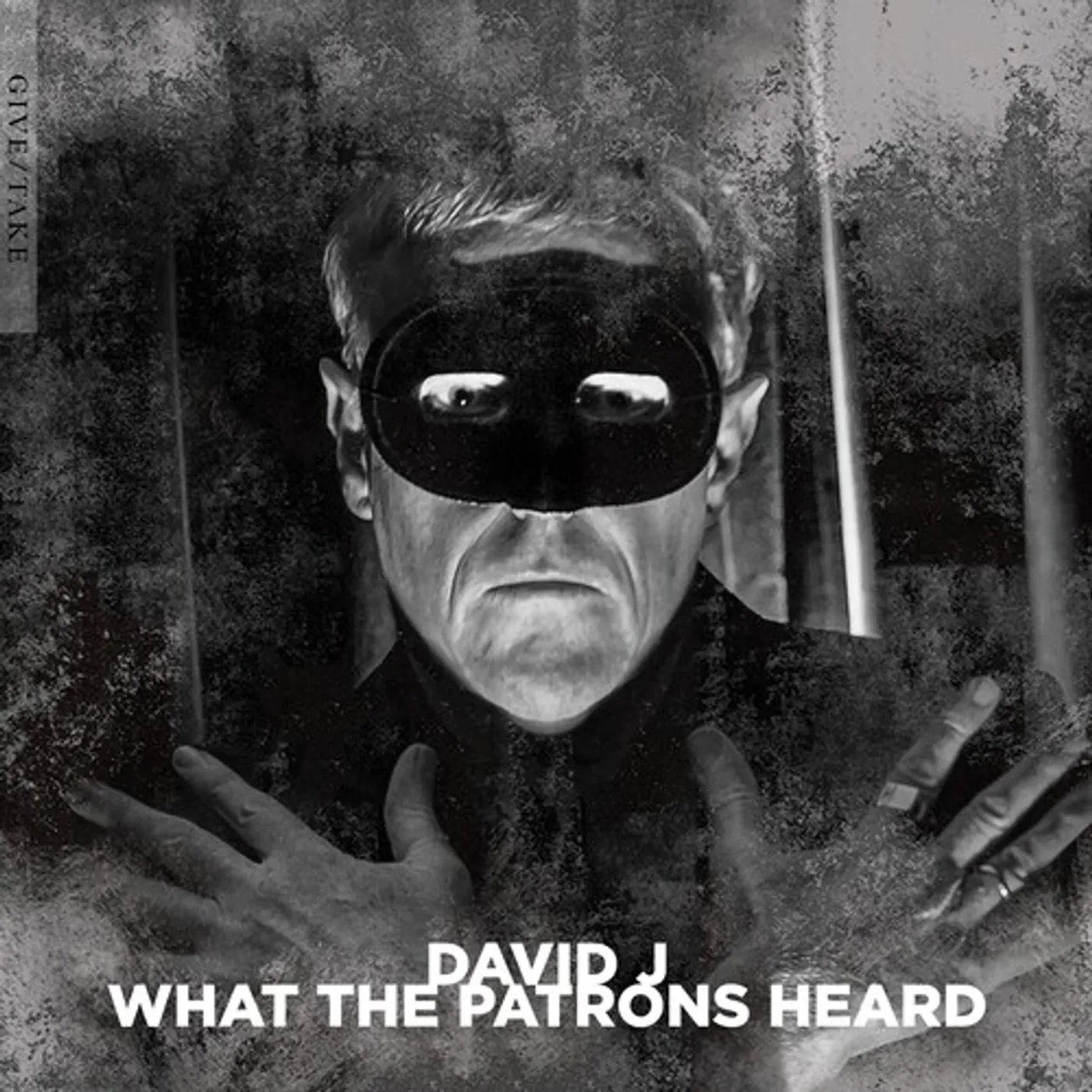 David J What The Patrons Heard Vinyl Record