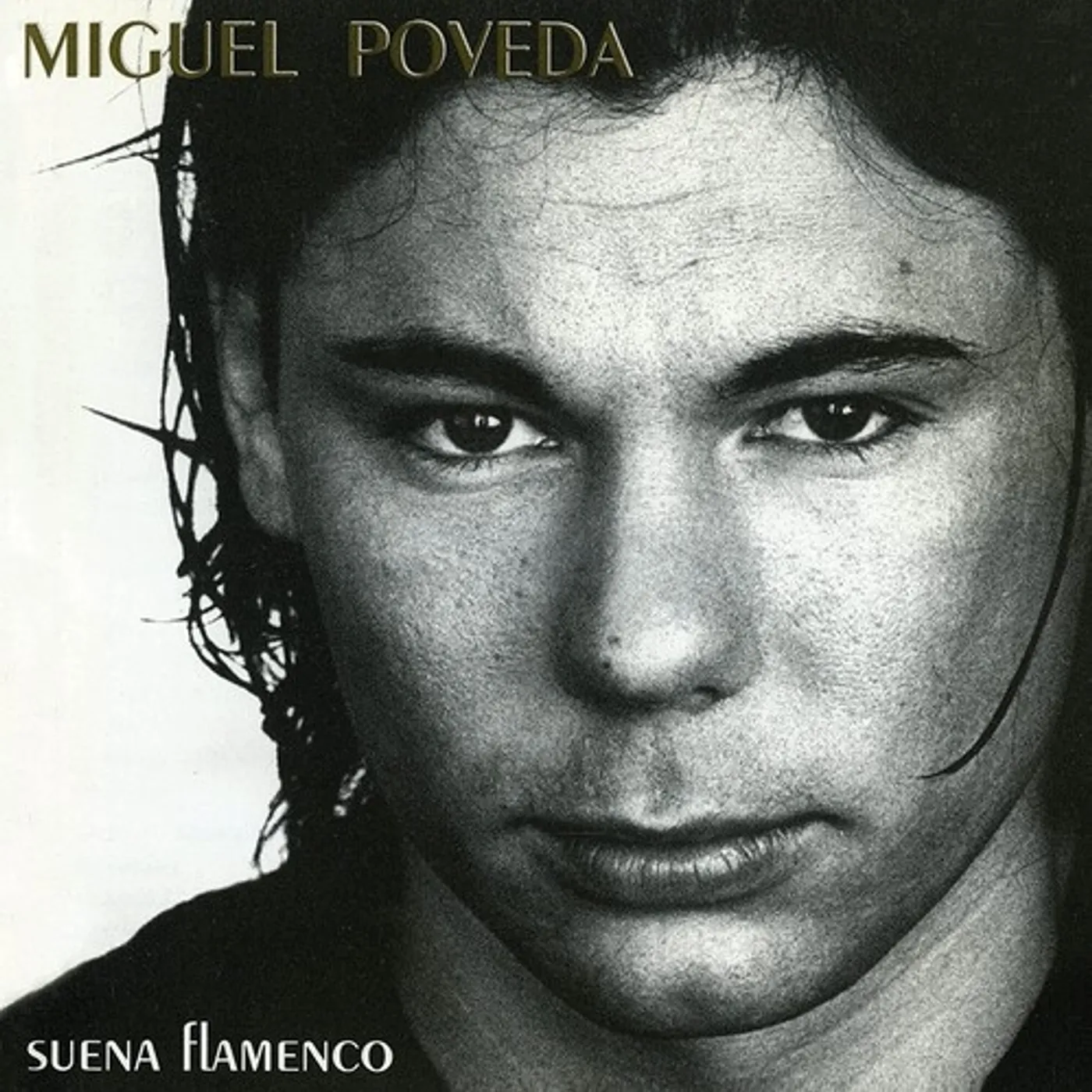 Miguel Poveda Suena Flamenco Vinyl Record
