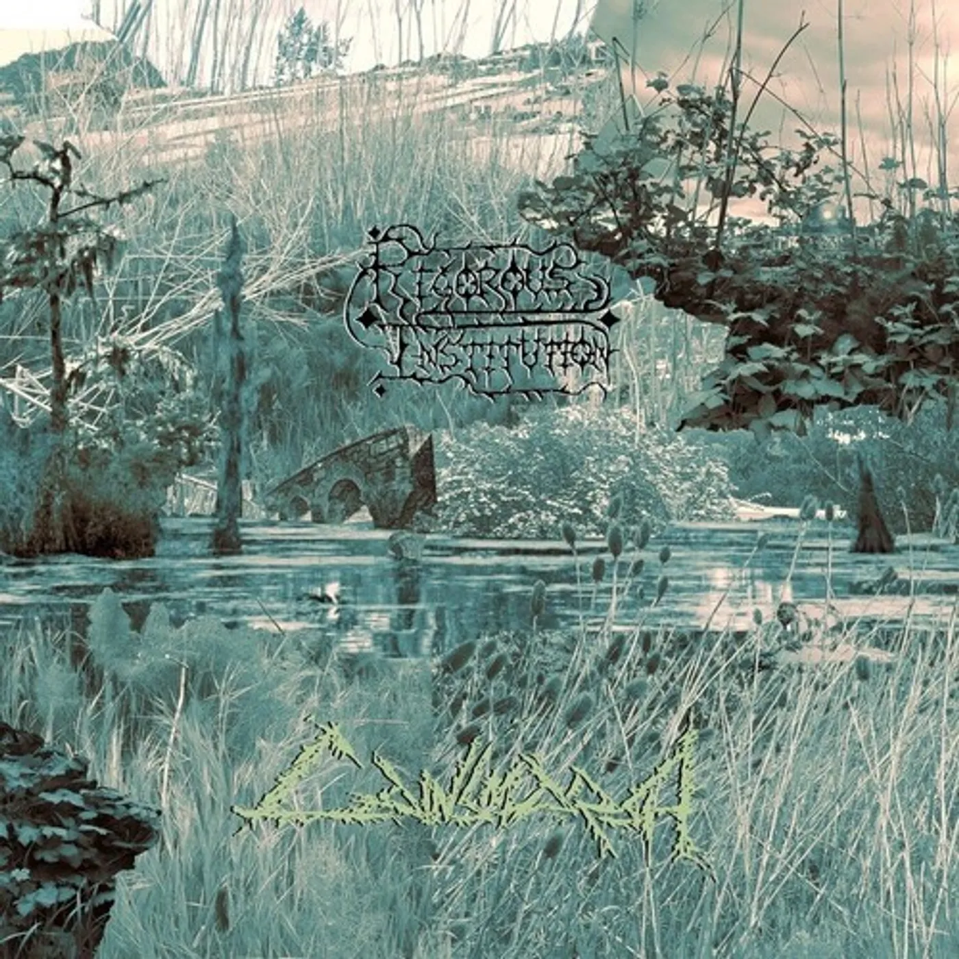 Rigorous Institution CAINSMARSH CD