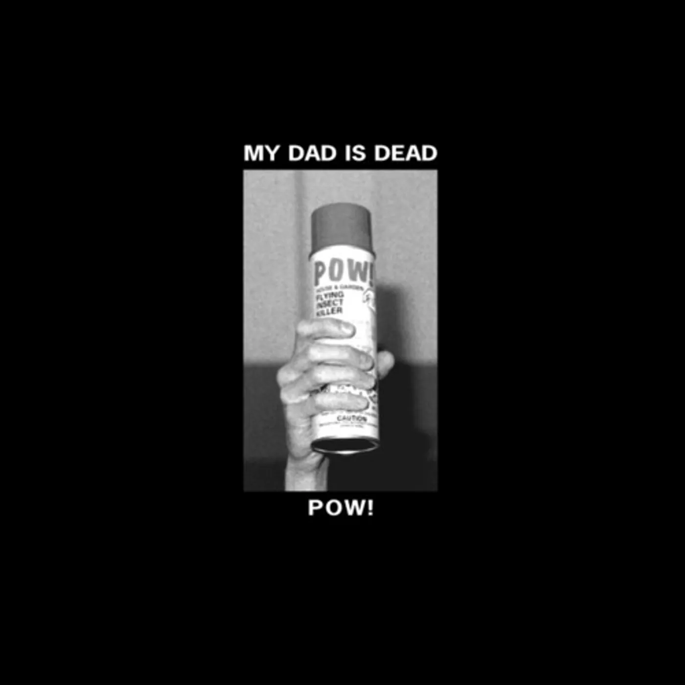 My Dad Is Dead Pow! Vinyl Record