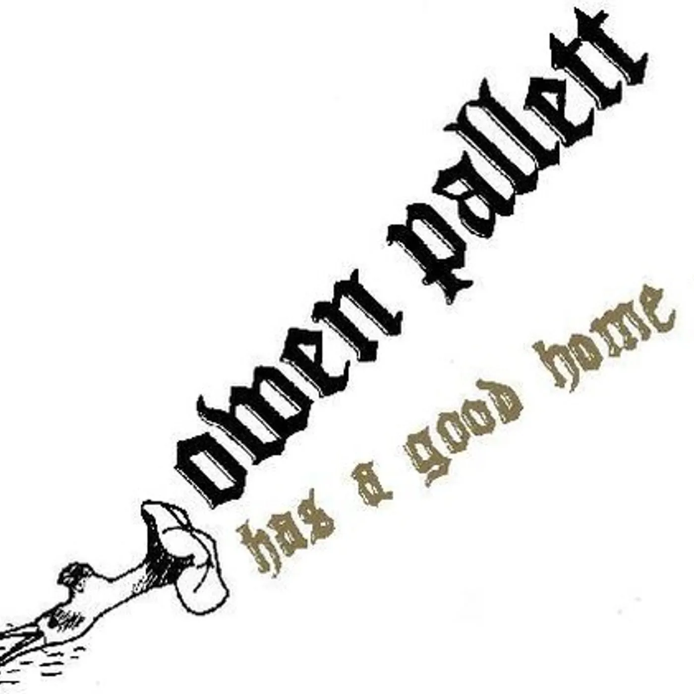 Owen Pallett Has A Good Home vinyl record