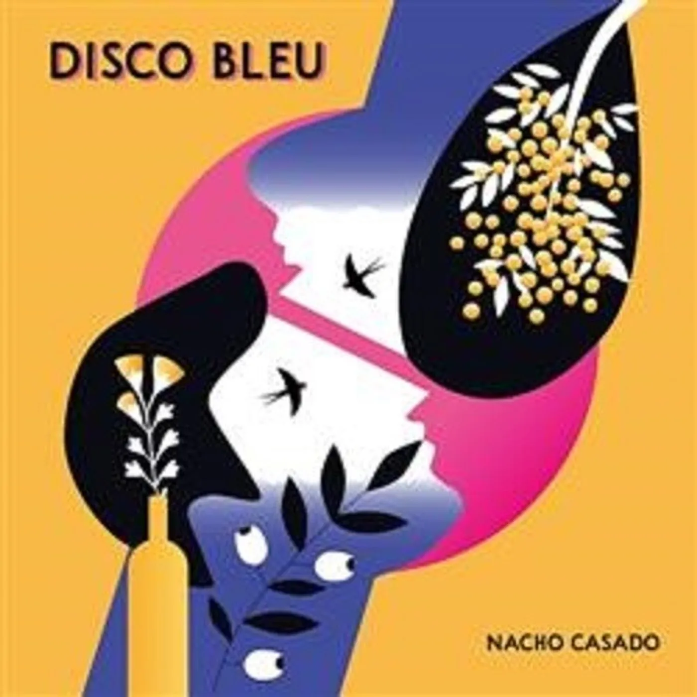 Nacho Casado Disco Bleu Vinyl Record
