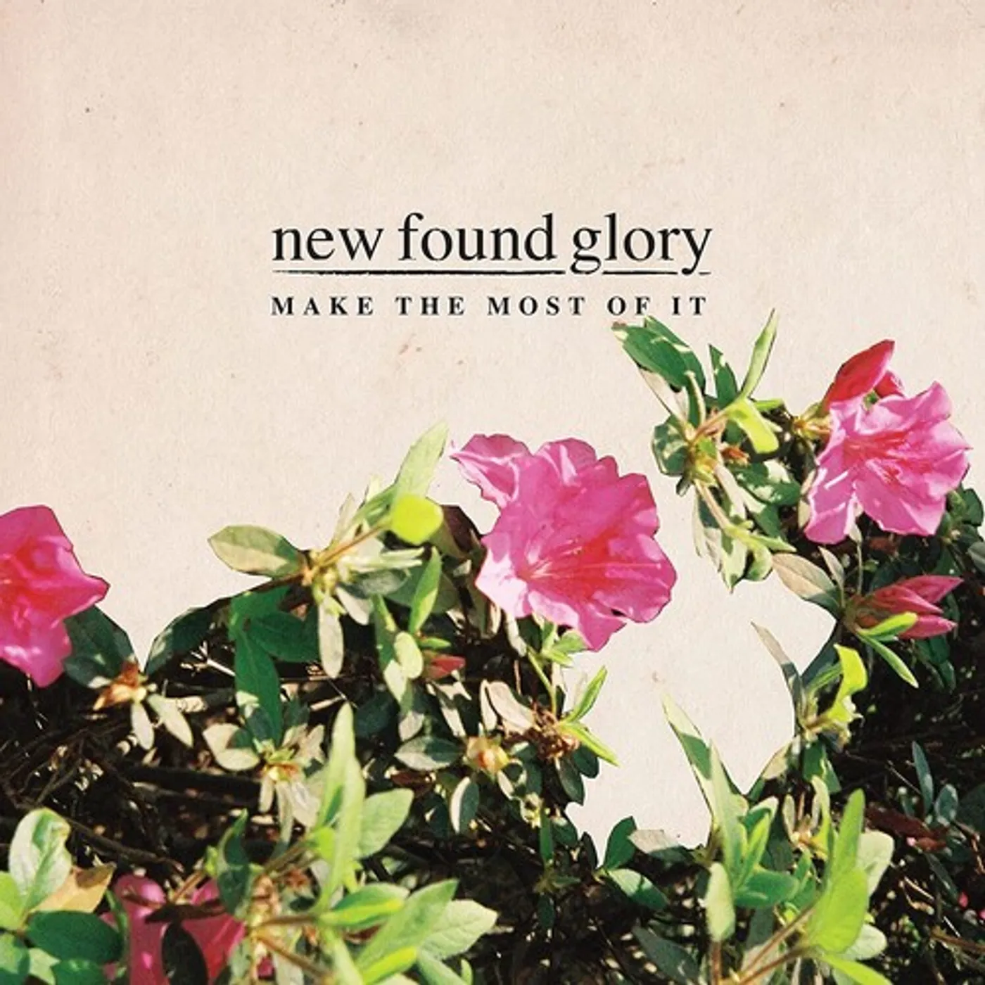New Found Glory Make The Most Of It Vinyl Record