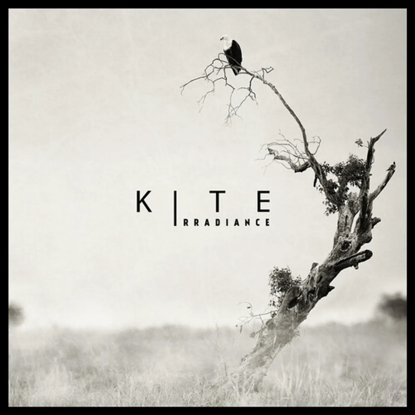 Kite Irradiance Vinyl Record
