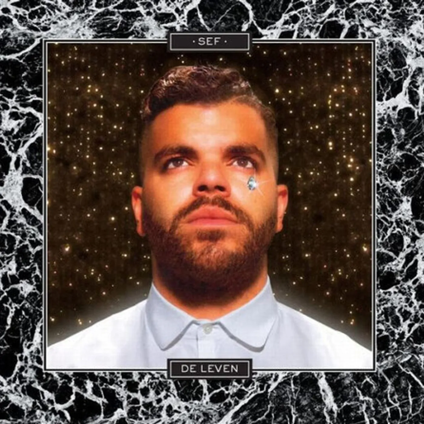 Sef De Leven Vinyl Record