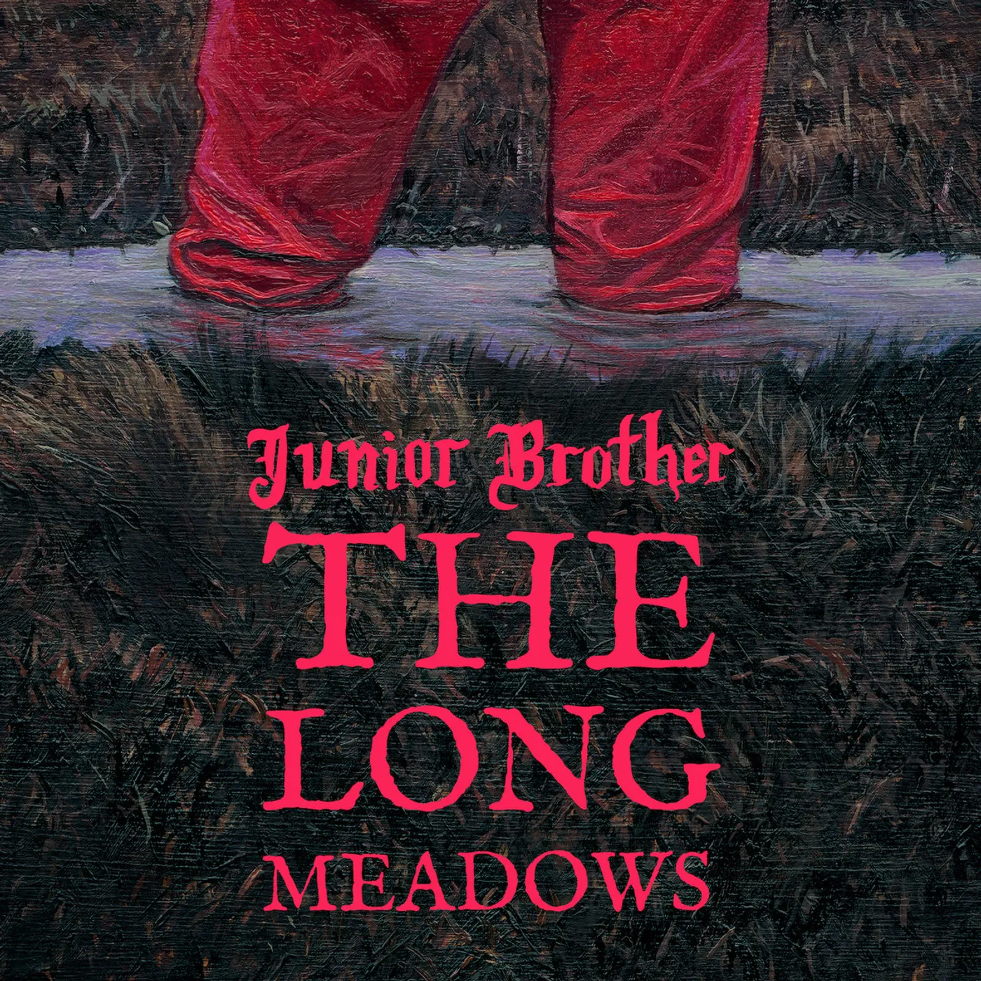 Junior Brother LONG MEADOWS Vinyl Record