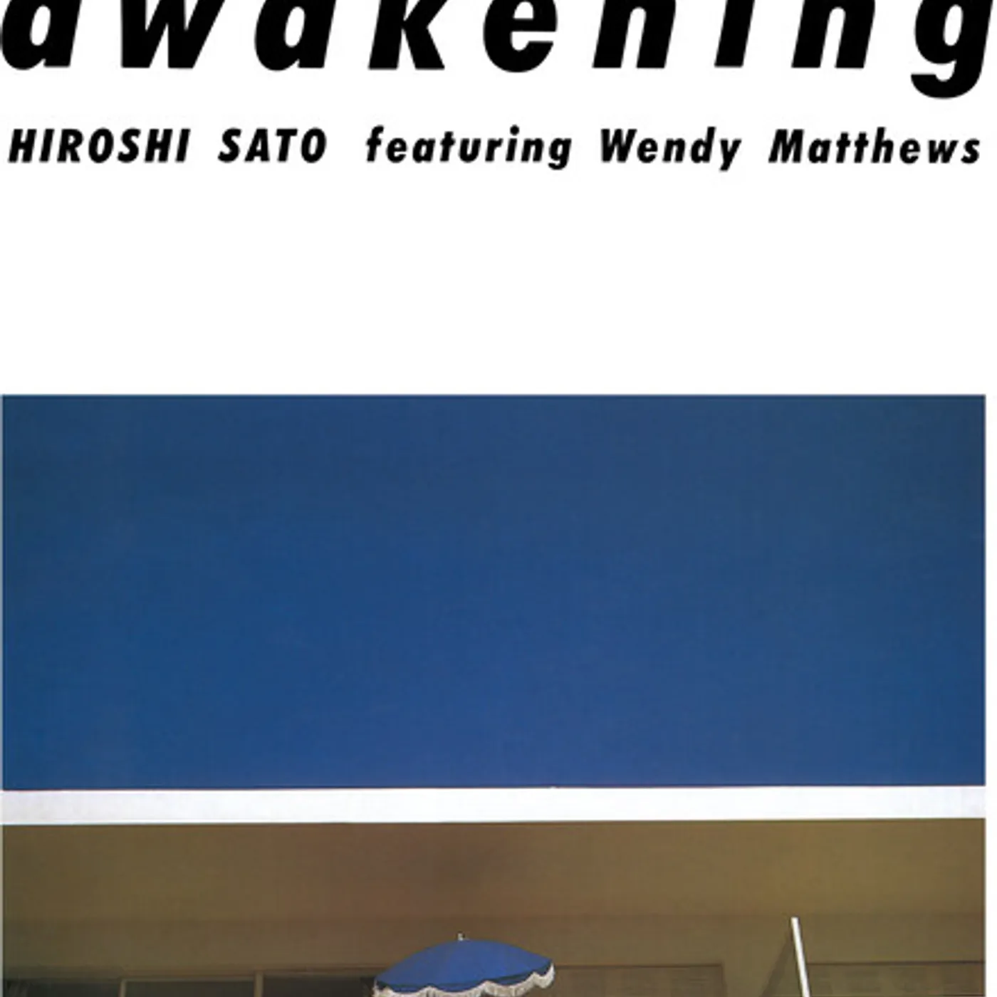 Hiroshi Sato Awakening - Special Edition Vinyl Record