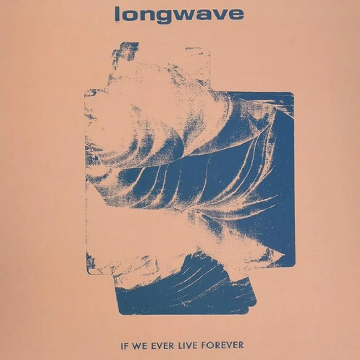 Longwave If We Ever Live Forever Vinyl Record