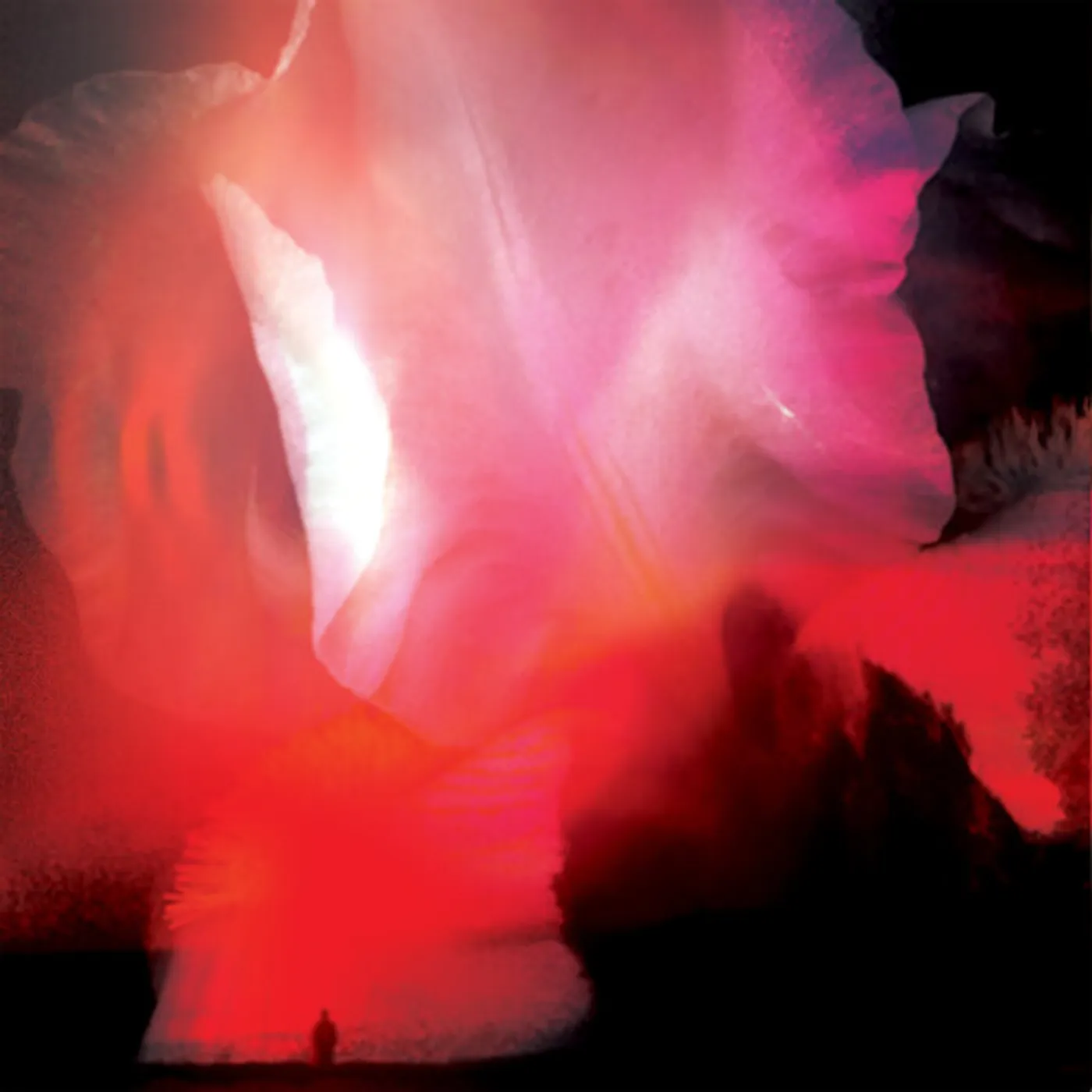 RUMSKIB - RED Vinyl Record