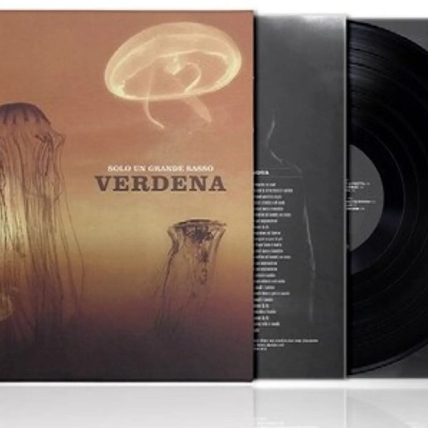 Verdena Solo un grande sasso Vinyl Record
