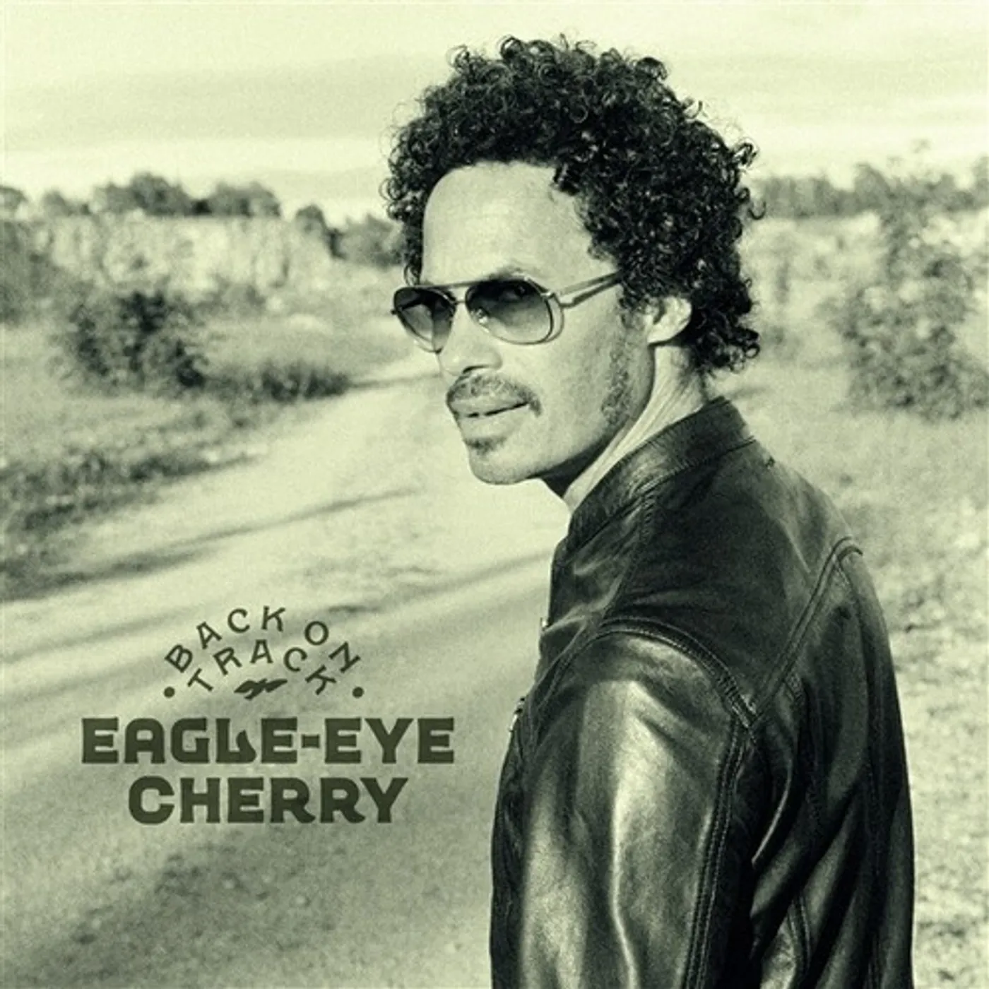 Eagle-Eye Cherry BACK ON TRACK CD