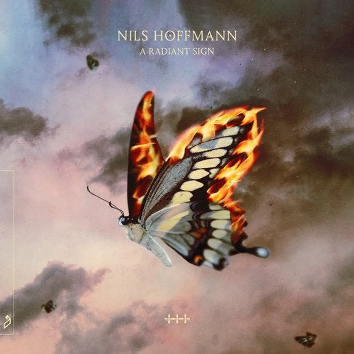 Nils Hoffmann Radiant Sign (2LP) Vinyl Record