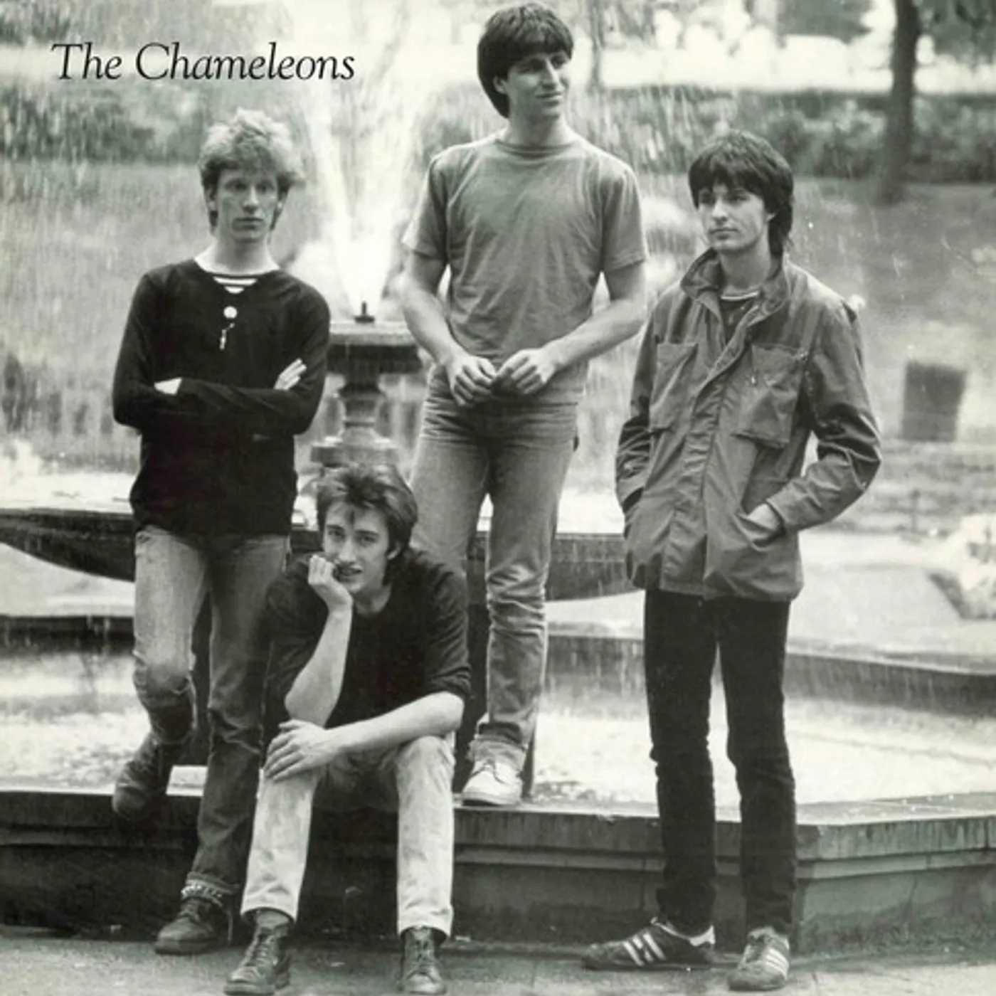 The Chameleons TONY FLETCHER Vinyl Record