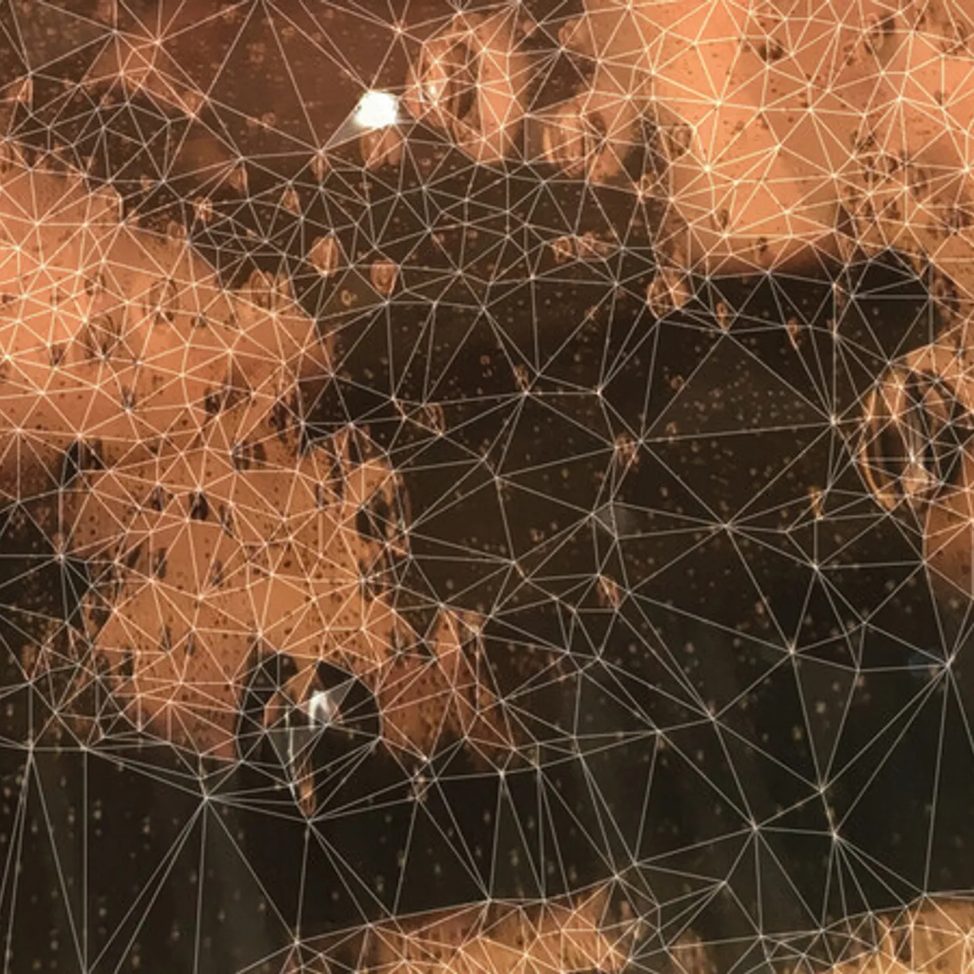 Surface 10 STRAY ENDING CD