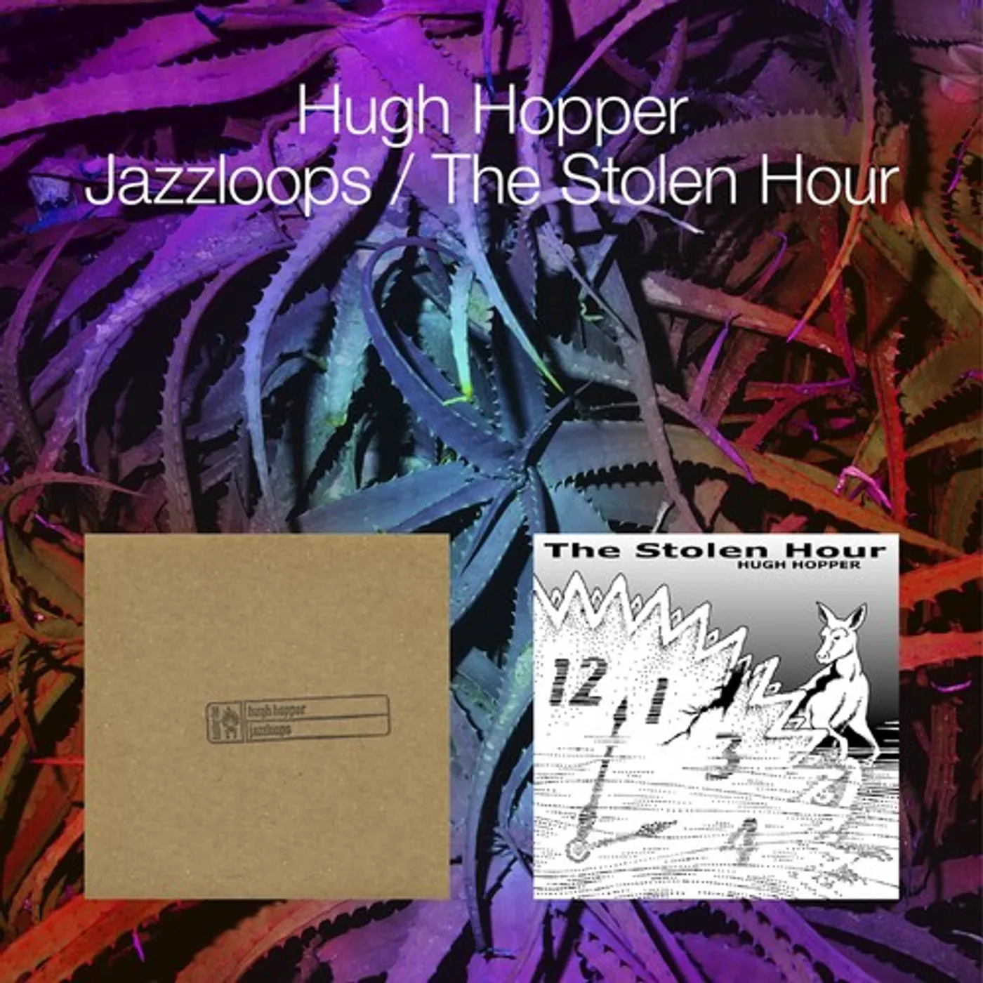Hugh Hopper JAZZLOOPS / THE STOLEN HOUR CD